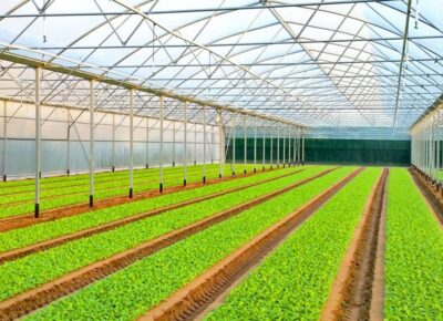 serre-agricole-unimagec-840x646